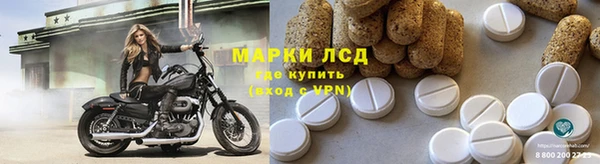 индика Верхний Тагил