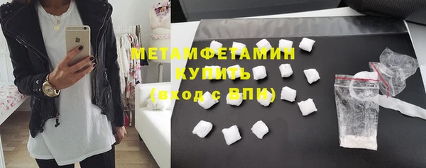 индика Верхний Тагил