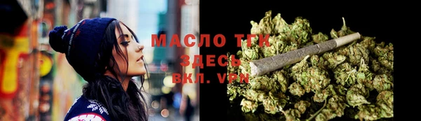 индика Верхний Тагил