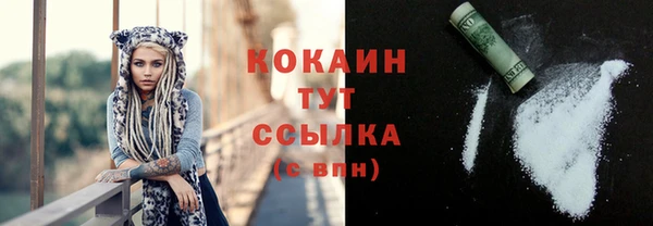 крисы Верея
