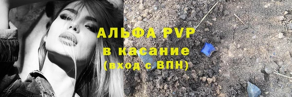индика Верхний Тагил