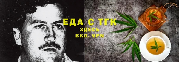 индика Верхний Тагил