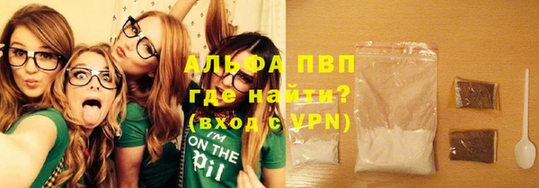 индика Верхний Тагил