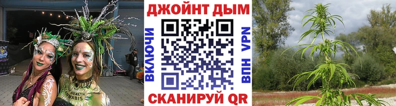 где продают наркотики  Новокубанск  Канабис Bruce Banner 